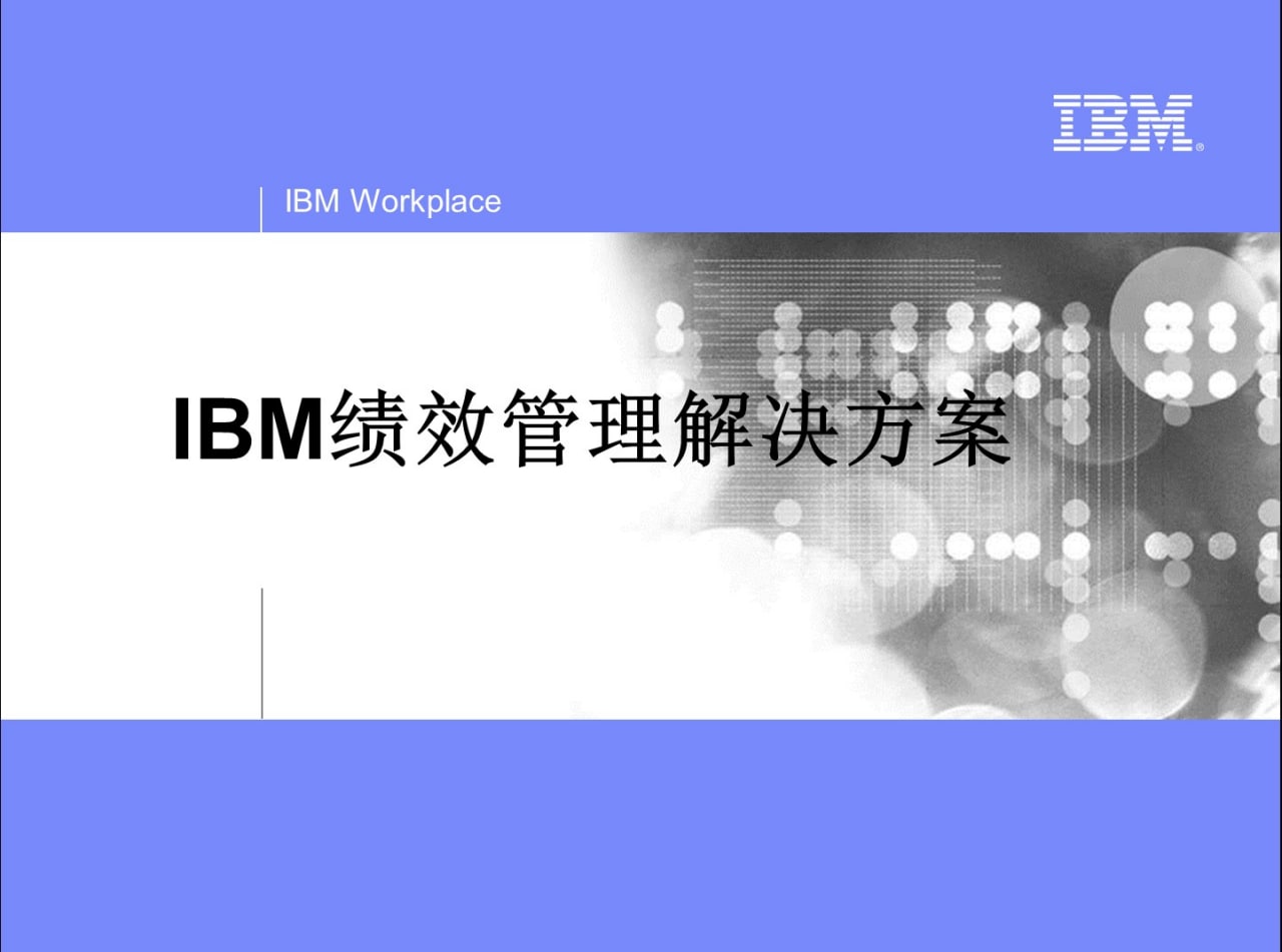 IBM集团管理内部精华资料  14.9M